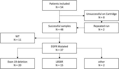 Detection of EGFR Mutations From Plasma of NSCLC Patients Using an Automatic Cartridge-Based PCR System